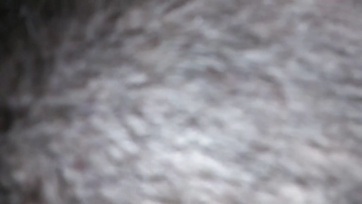 L'idée de ma fessée était de prendre en sandwich sa partenaire salope Thumb