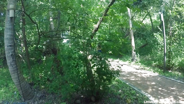 Il a repéré et baisé la meilleure femme des Maldives Thumb