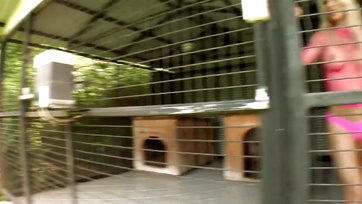 La bombe hongroise est sortie de la cage et a été brutalement pétée Thumb